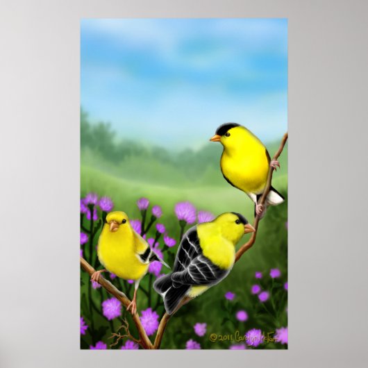 Wild American Goldfinches Print (Voorkant)
