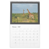 Wild Animal Africa 2013 PERSONALIZE Kalender (Feb 2027)