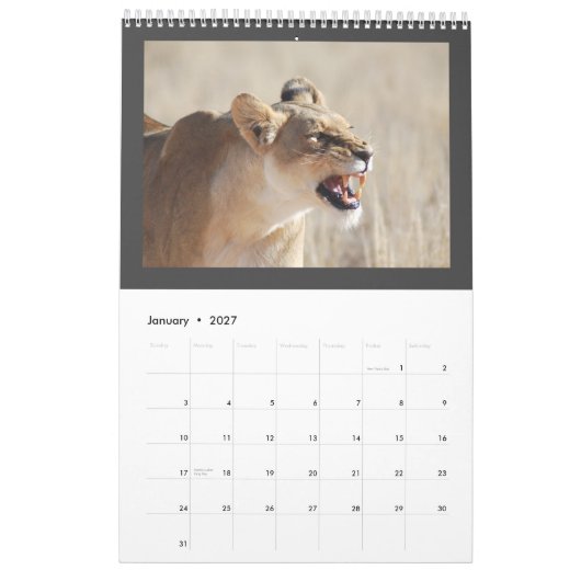 Wild Animal Africa 2013 PERSONALIZE Kalender (Jan 2027)