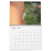 Wild Animal Calendar Kalender (Feb 2027)