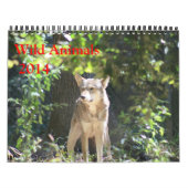 Wild Animal Calendar Kalender (Hoes)