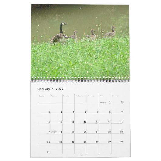 Wild Animal Calendar Kalender (Jan 2027)
