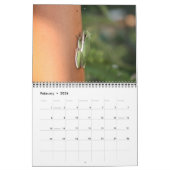 Wild Animal Calendar Kalender (Feb 2026)