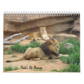 Wild Animal Calender van Ramona Taylor Kalender (Hoes)