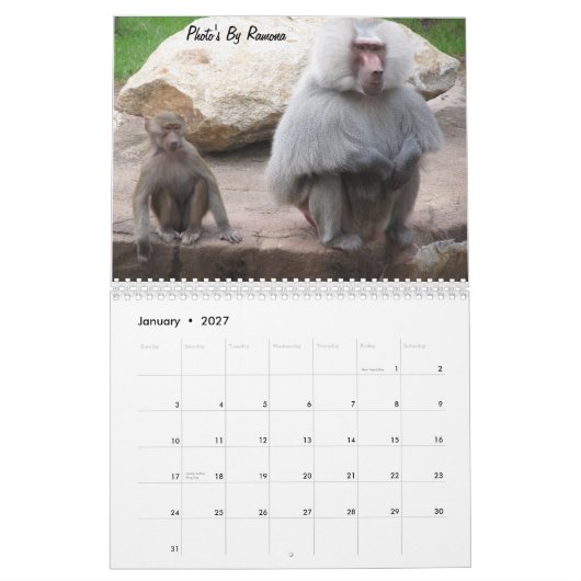 Wild Animal Calender van Ramona Taylor Kalender (Jan 2027)