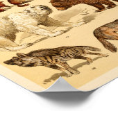 Wild Animal Collectie Beer Wolf Monkeys Print (Hoek)