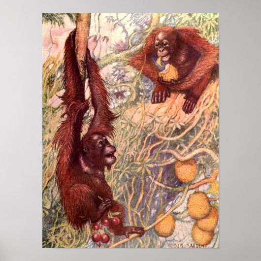  Wild Animal, Orangutans van Louis Sargent Poster (Voorkant)