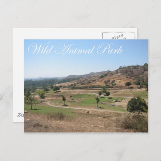 Wild Animal Park 2 Briefkaart (Voorkant / Achterkant)