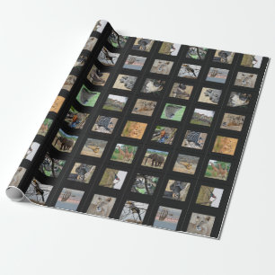 Wild Animal Photo Gift Wrap Cadeaupapier