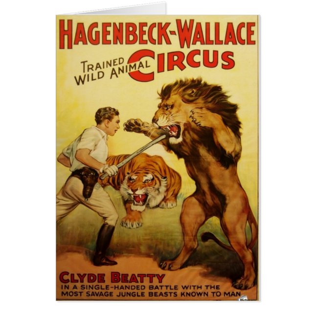 Wild Animal Tamer (Voorkant)