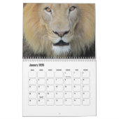 Wild Animals Calendar Kalender (Jan 2026)