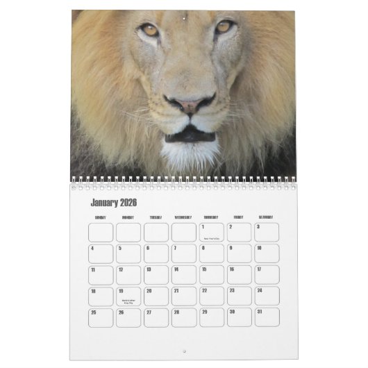 Wild Animals Calendar Kalender (Jan 2026)