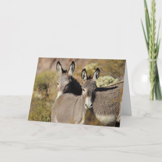 Wild Arizona Burros Kaart (Voorkant)