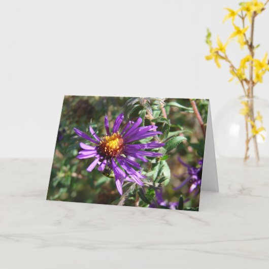 Wild Aster Kaart (Gele Bloem)