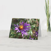 Wild Aster Kaart (Voorkant)