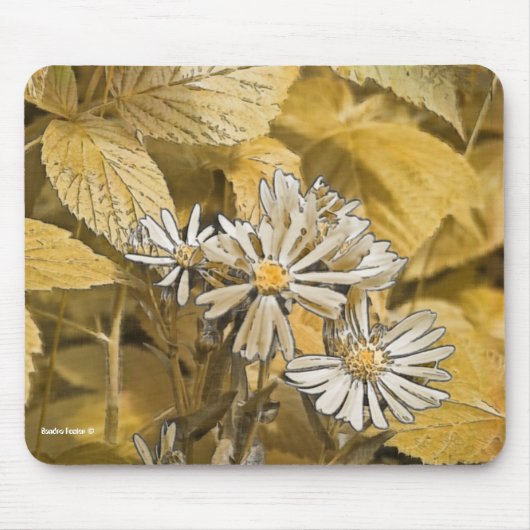 Wild Aster Muismat (Voorkant)