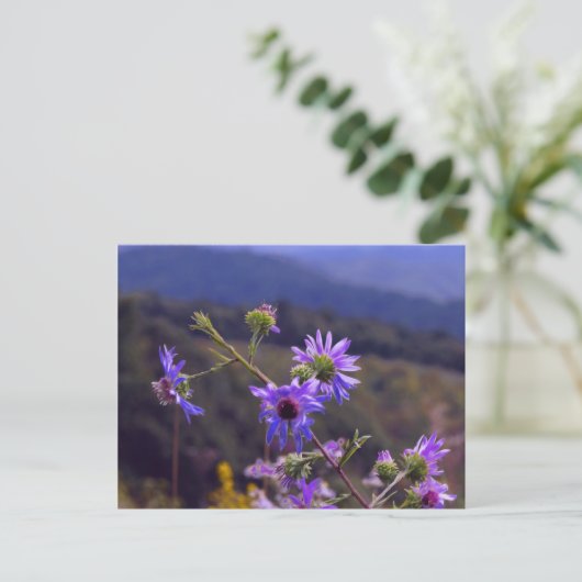 Wild Asters Briefkaart (Staand voorkant)