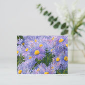 Wild Asters gemengde media tekenen Briefkaart (Staand voorkant)