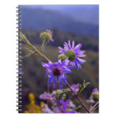 Wild Asters notebook Notitieboek (Voorkant)