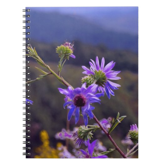 Wild Asters notebook Notitieboek (Voorkant)