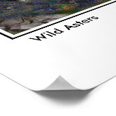 Wild Asters-Poster Poster (Hoek)