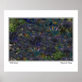 Wild Asters-Poster Poster