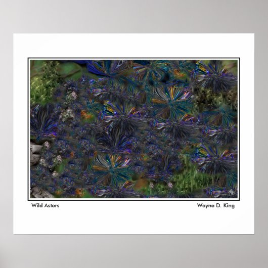 Wild Asters-Poster Poster (Voorkant)