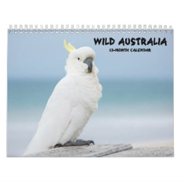 "Wild Australia" Australian Wildlife Calendar Kalender