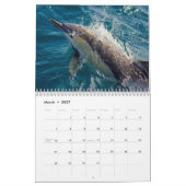 "Wild Australia" Australian Wildlife Calendar Kalender (Mar 2027)
