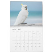 "Wild Australia" Australian Wildlife Calendar Kalender (Jan 2027)