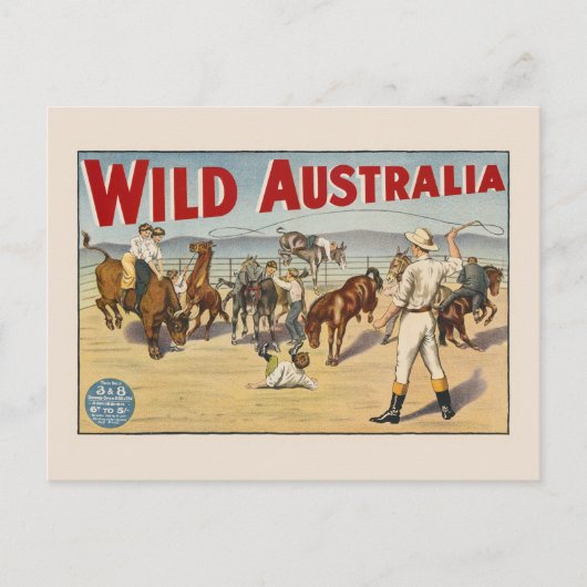 Wild Australië Vintage Poster 1910 Briefkaart (Voorkant)