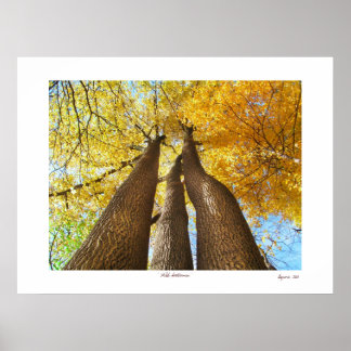 Wild Autumn Poster