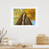 Wild Autumn Poster (Keuken)