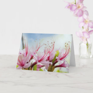 Wild Azalea Blossom Kaart