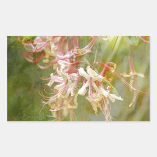 Wild Azalea Blossom = Springtime Rechthoekige Sticker