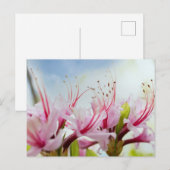 Wild Azalea Blossom Uitnodiging Briefkaart (Voorkant / Achterkant)
