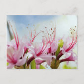 Wild Azalea Blossom Uitnodiging Briefkaart (Voorkant)