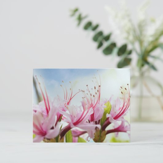 Wild Azalea Blossom Uitnodiging Briefkaart (Staand voorkant)
