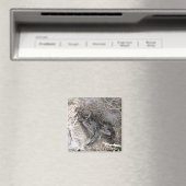 Wild Baby Bunnies Magnet (Insitu (Vaatwasser))