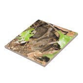 Wild Baby Bunnies Tegeltje (Zijkant)