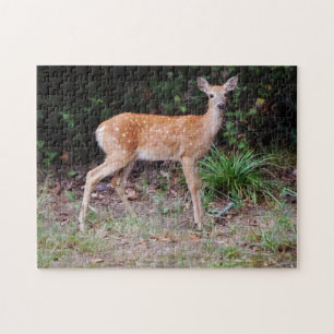 Wild Baby Herten Natuur Dier Fawn Puzzel