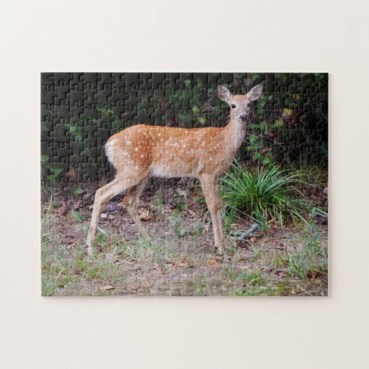 Wild Baby Herten Natuur Dier Fawn Puzzel (Horizontaal)