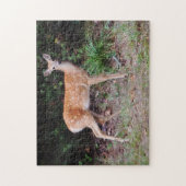 Wild Baby Herten Natuur Dier Fawn Puzzel (Verticaal)