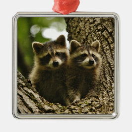 Wild Baby Raccoons Foto Metalen Ornament