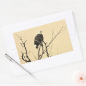Wild Bald Eagle Stickers (Envelop)