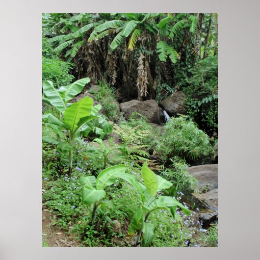 Wild Banana Trees Poster (Voorkant)