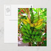 WILD BANANAS! BRIEFKAART (Voorkant / Achterkant)