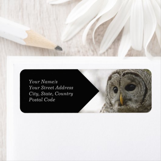 Wild Barred Owl Face Return Address Label (Insitu)