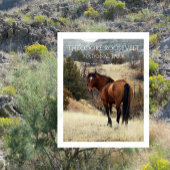 Wild Bay Horse. Nationaal park Theodore Roosevelt Briefkaart