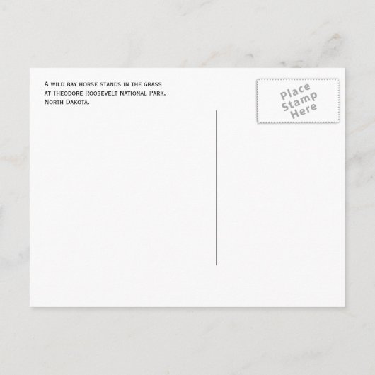 Wild Bay Horse. Nationaal park Theodore Roosevelt Briefkaart (Achterkant)
